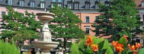 Gärtnerplatz mit vielen Blumen, im Hintergrund rosa Häuser