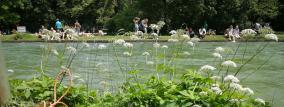 Eisbach Englischer Garten Rettungsring