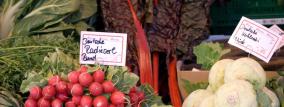 Radieserl und Kohlrabi auf dem Viktualienmarkt